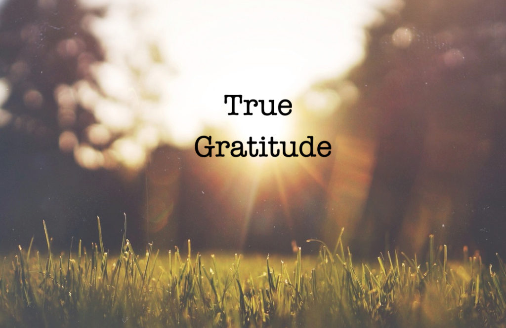 Image post for True Gratitude